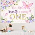 Butterfly 1st Birthday Decorations for Girls - Pink Purple Butterfly ...