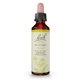 thumbnail image 1 of Mostaza original de Flower Essence Bach, 20 ml, vegana, sin gluten, 1 of 6