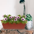 thumbnail image 4 of DEEPCRAFF 3Ud Jardinera Plástica Roja Rectangular Para Plantas Con Circulación Óptima De, 4 of 7