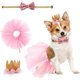 thumbnail image 1 of Suministros de fiesta de moda, falda tutú, regalo rosa para perros pequeños, gatos, mascotas, vestido de fiesta de cumpleaños, corona, sombrero, collar, conjunto de cumpleaños, gato, perro (rosa) XianweiShao 9024735003533, 1 of 5
