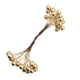 thumbnail image 1 of Ramo de flores de bayas de doble cabeza con perlas artificiales decorativas de 200 piezas de espuma plástica dorado, 1 of 5