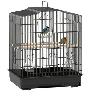 How Much is a Bird Cage: Ultimate Guide to Prices & Types