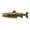 Gold Plated, variant on Lake Trout Pin, F019, Pewter 1 3/4”, Fish Lapel Pin, Hat, Pins, Brooch, Brooches, Jewelry, Gift, 100% Handmade in the USA, 200 Fish Designs Available