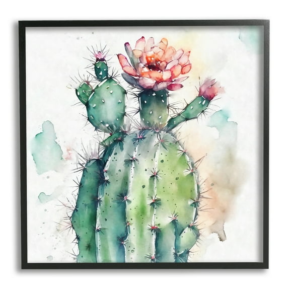 Stupell Industries Watercolor Cactus Desert Nature Botanical & Floral Painting Black Framed Art Print Wall Art