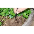 thumbnail image 2 of Elgo 2-in-1 Watering Kit, Micro Sprinklers and Drip System, 2 of 6