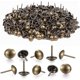 thumbnail image 2 of 500 Piezas Clavos para Tapicería, Clavos para Tapicería Decorativos de Bronce Resistentes de 17X11 MM Clavo Retro, 2 of 3