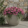 thumbnail image 1 of Jardinière en Résine Mainstays 20 pouces, Gris Bouleau, 1 of 5