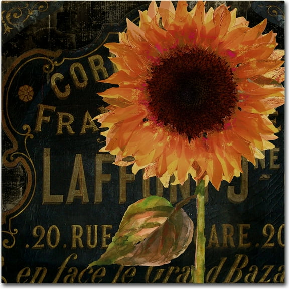 Trademark Fine Art "Sunflower Salon II" Canvas Art by Color Bakery