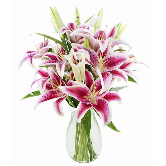 KaBloom :Bouquet of Pink Pop Stargazers 8 Stargazer Lilies and Greens with Vase.