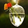 thumbnail image 3 of Vase Hanging Plants Planter Flower Vase Vase Wall Hydroponic Aquarium Container Home Decor, 3 of 8