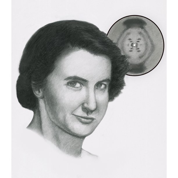 Rosalind Franklin Rolled Canvas Art Spencer SuttonScience Source (18