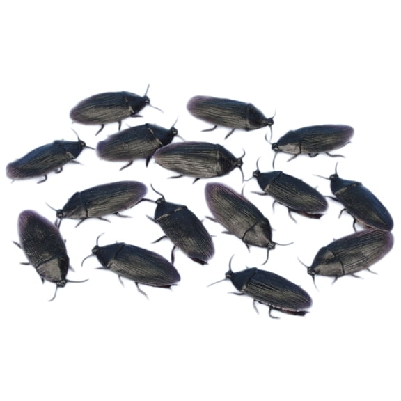 Loftus Bag of Creepy Cockroaches 2" Decoration Pack, Black