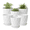 White, variant on 6 Pack 8 Inch Plant Pots , Plastic Flower Pots for Indoor & Outdoor Plants, Planters with Drainage Holes and Saucer(Multicolor)