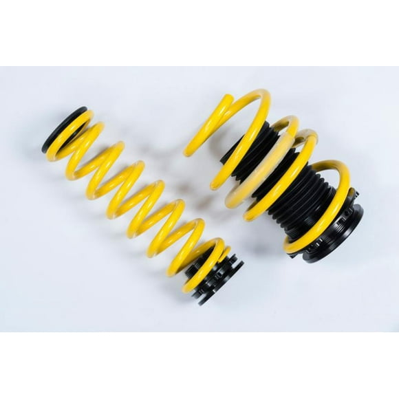 Fits 2007-2015 Audi A4 Suspension Techniques Lowering Kit 2731000H Adjustable; Coil Spring