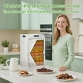 thumbnail image 4 of Commercial Food Dehydrator Machine 18 Trays, 800W Stainless Steel Fruit Dryer, 11ft² Drying Area with 194°F Temperature Control for Jerky and Herbs, 4 of 9
