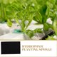thumbnail image 2 of Bandeja de esponja para cultivo de hortalizas con esponja hidropónica sin suelo Bandeja de esponja sin suelo, 2 of 7