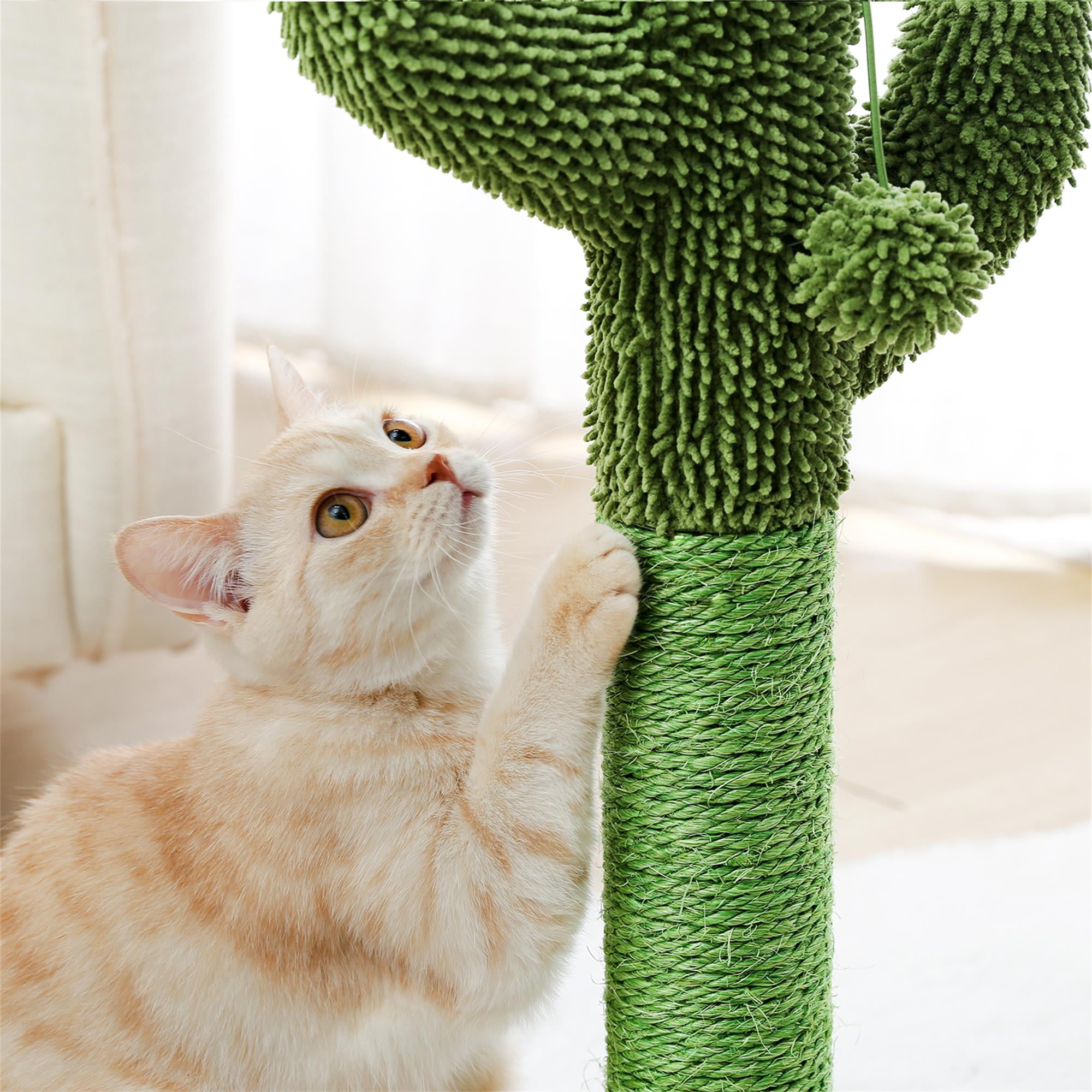 Kadyn 20" Cat Scratching Post, Cactus Cat Scratcher Kitten Scratch Post for Indoor Cats, Claw Cat Tree with Dangling Ball for Kitties, Green