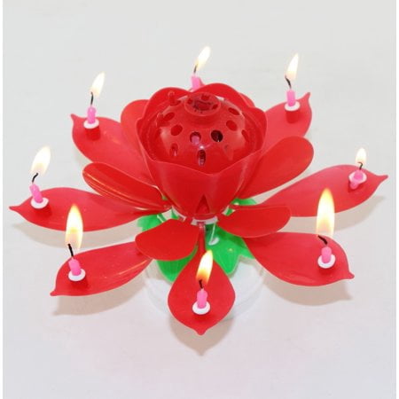Birthday Cake Flower Candles with Happy Birthday Music Rotating Setup - (Best Magic Musical Happy Birthday Candles)