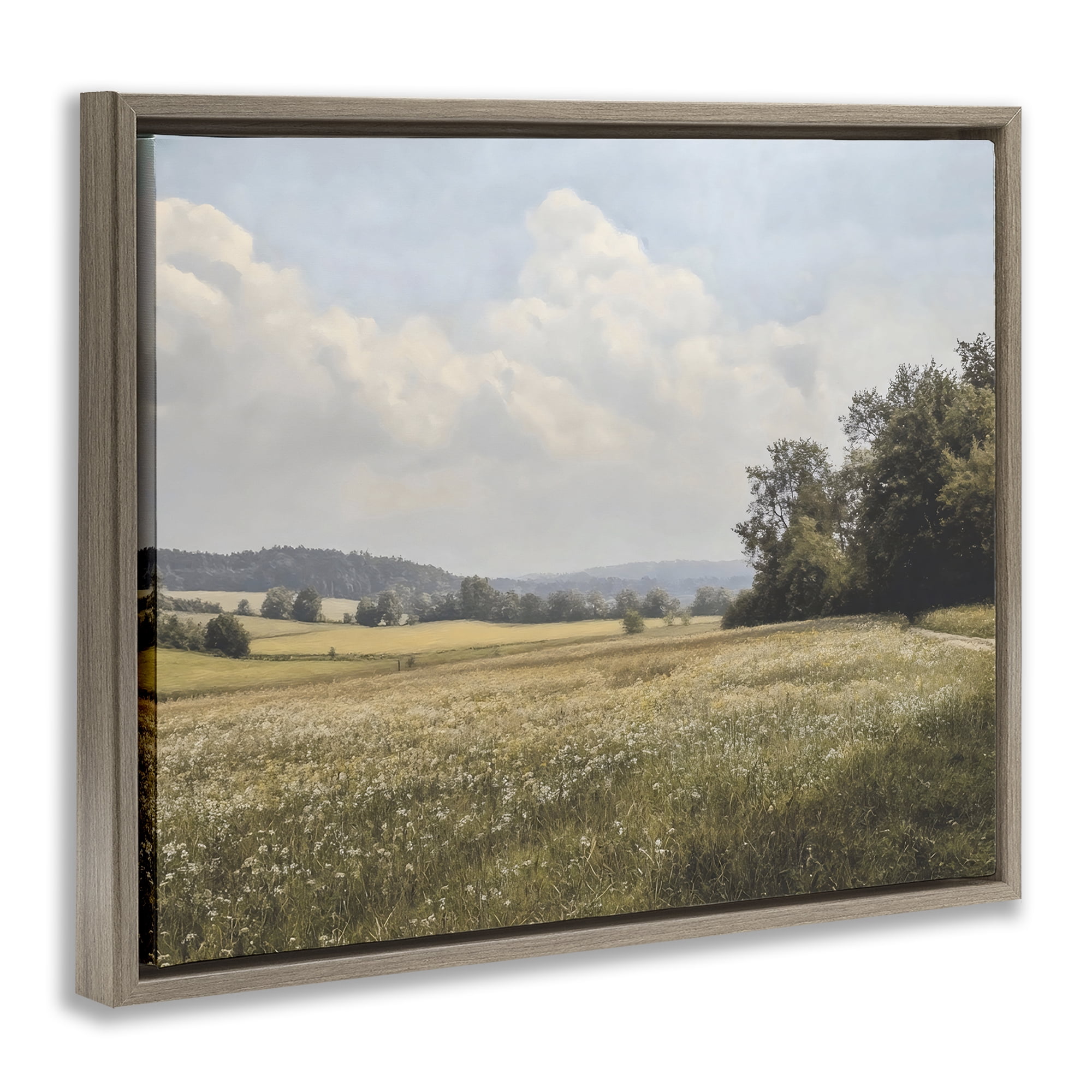 Stupell Industries Summer Landscape Cloudy Meadow Brown Framed Floater Canvas Wall Art, design by Franklyn Gregory