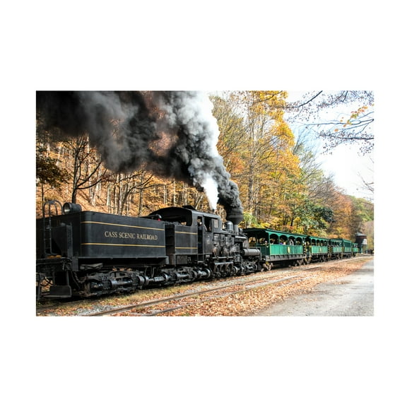 Robert Michaud 'Cass Scenic Railroad 2' Canvas Art