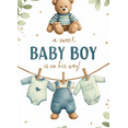 thumbnail image 3 of Decorative Design Baby Shower Banner Sweet Baby Boy Teddy Bear Clothesline for Baby Shower Newborn Celebration Indoor Decoration, 3 of 6