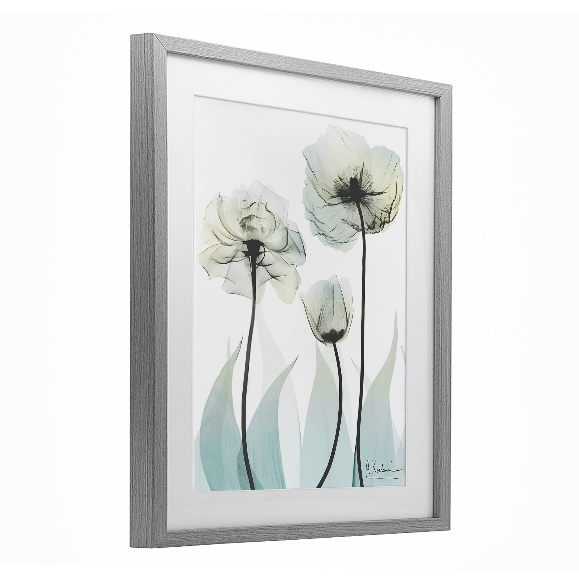 Stupell Industries Luxury Of Creation Gray Framed Print Under Glass, design by Albert Koetsier