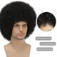 thumbnail image 3 of Peluca Afro Sabosi, pelo corto y esponjoso, estilo rock disco de los 70, para hombre, 3 of 5