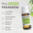 thumbnail image 5 of Pranarom USDA Certified Organic Lavender Essential Oil (15ml), 100% Pure Undiluted Therapeutic Grade from French Alps for Aromatherapy, Diffuser, Healthy Skin & Hair, Massage, Relaxation, 5 of 5