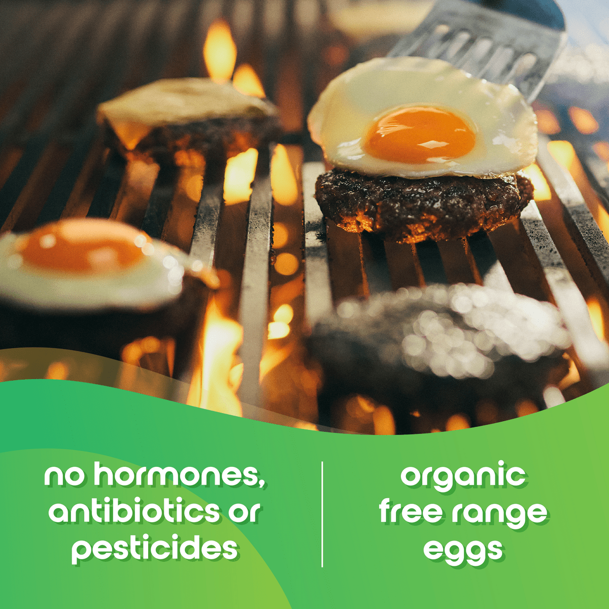 Happy Egg Co. Organic Free-Range Large Brown Eggs, 12 Count (Dozen)