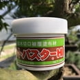 Bonsai Cut Paste for Deciduous 160 grams + Made in Japan, Pruning Sealer for an Injury to The