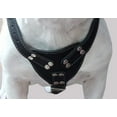 thumbnail image 2 of Black Genuine Leather Dog Harness, Large to XLarge. 33"-37" Chest, 1.5" Wide Straps, 2 of 3
