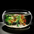 thumbnail image 3 of 2 cocos de plástico para acuario, resistentes al desgaste, decorativos, artificiales., 3 of 6