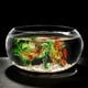 thumbnail image 3 of 2 cocos de plástico para acuario, resistentes al desgaste, decorativos, artificiales., 3 of 6