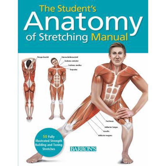 Pre-Owned Student's Anatomy of Stretching Manual: 50 Fully-Illustrated Strength Building and Toning Stretches (Paperback) 1438003919 9781438003917