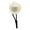 Offwhite S, variant on WINDLAND Dog Cowboy Hat Cowboy Pet Costume Pearls Headwear Photo Props