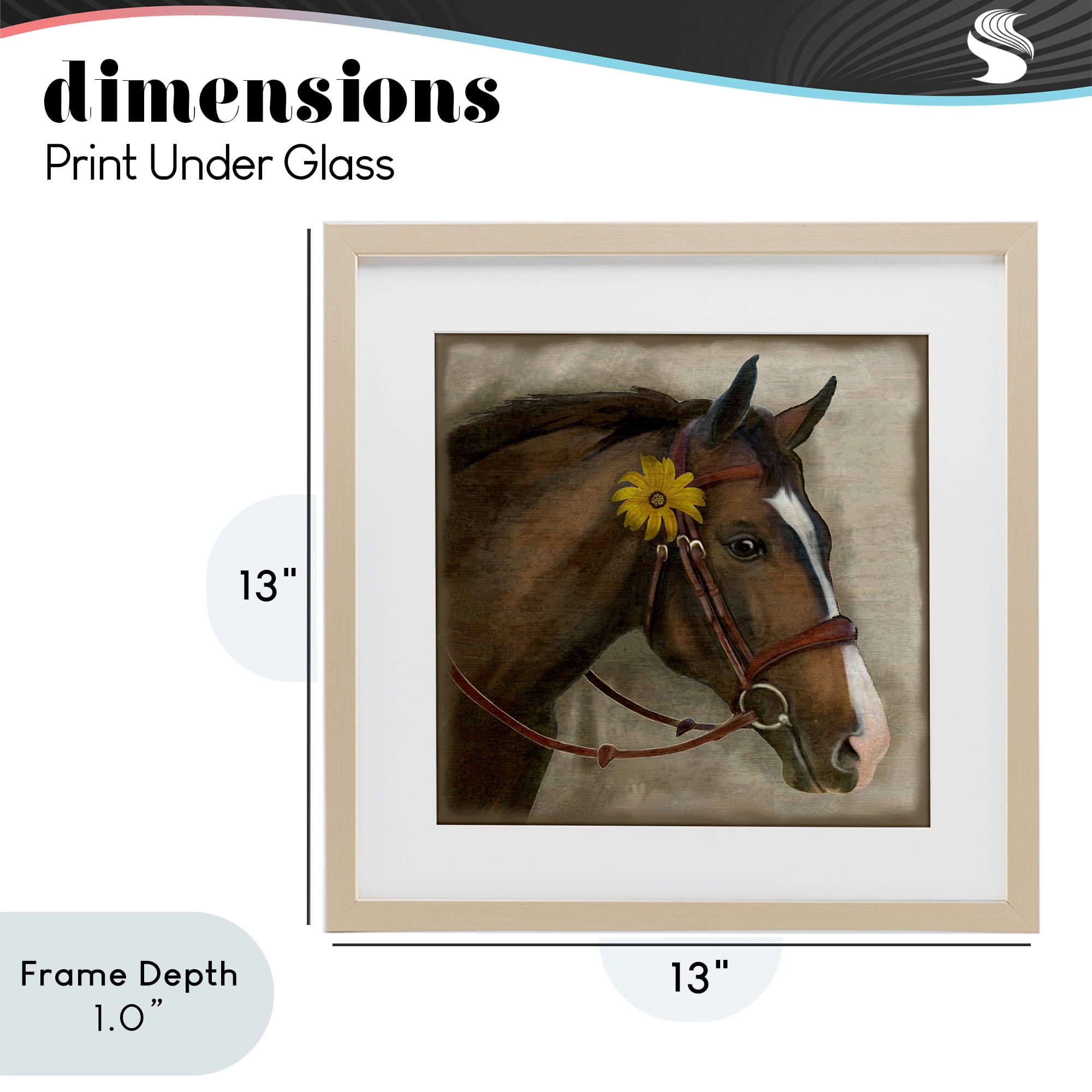 Stupell Industries Barnyard Horse with Daisy Birch Framed Print Under Glass, design by Suzanne Nicoll