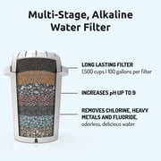 Invigorated Water PH001 Alkaline Water Filter, 96 Gallons Capacity/Filter (3-Pack, Black)