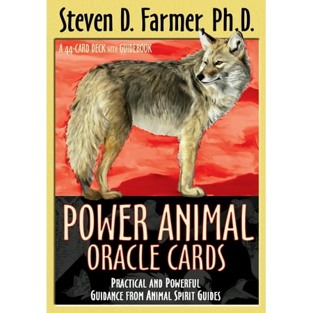 Power Animal Oracle Cards : Practical and Powerful Guidance from Animal Spirit (Spirit Stones Best Cards)