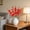 Red, variant on LiUMX Artificial Gladiolus Flowers Stems, 5 Branches Multicolor Faux Silk Flower, Sun-Resistant Indoor Outdoor Home Wedding Party Vase Bouquet Decoration