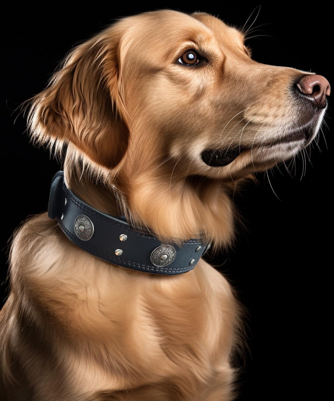 TJOUL Leather Dog Collar, 2 inches Wide Heavy Duty Genuine Leather Collars, Handmade, Soft, and Luxury, Eye-catching Best Choice for Large and Medium Breed Dogs 22.5-26.5 inches
