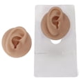 thumbnail image 1 of prosthetic Ears, Ear Model Soft Silicone High Simulation Silicone Earrings prosthetic Body Parts Human Ear Model for Piercing Practice and Jewelry Display Acupuncture Teaching Tool, 1 of 7