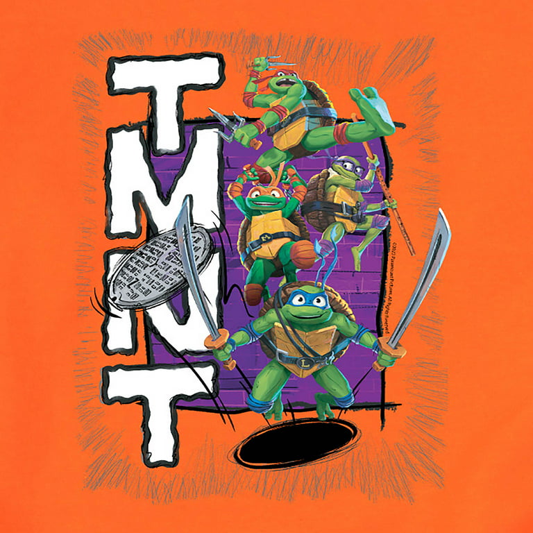 Teenage Mutant Ninja Turtles Donatello Michelangelo Leonardo Toddler Boys Fleece Pullover Hoodie Pants Green / Gray 2T