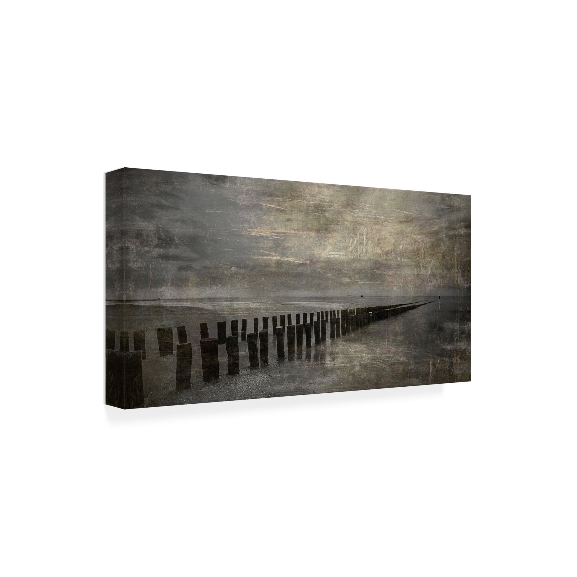 Canvas Wall Art - Cicek Kiral 'Impression Of Domburg' Wall Art for Living Room, Bedroom, or Office Décor by Trademark Fine Art - 47 x 24 Inches