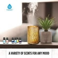 thumbnail image 4 of Pursonic 100% Pure Essential Aromatherapy Oils Blends Gift Set-6 Pack , 10ML(Breath Easy,Deep Muscle Relief,Detox,Good Night,Rejuvenate,Distress), 4 of 5