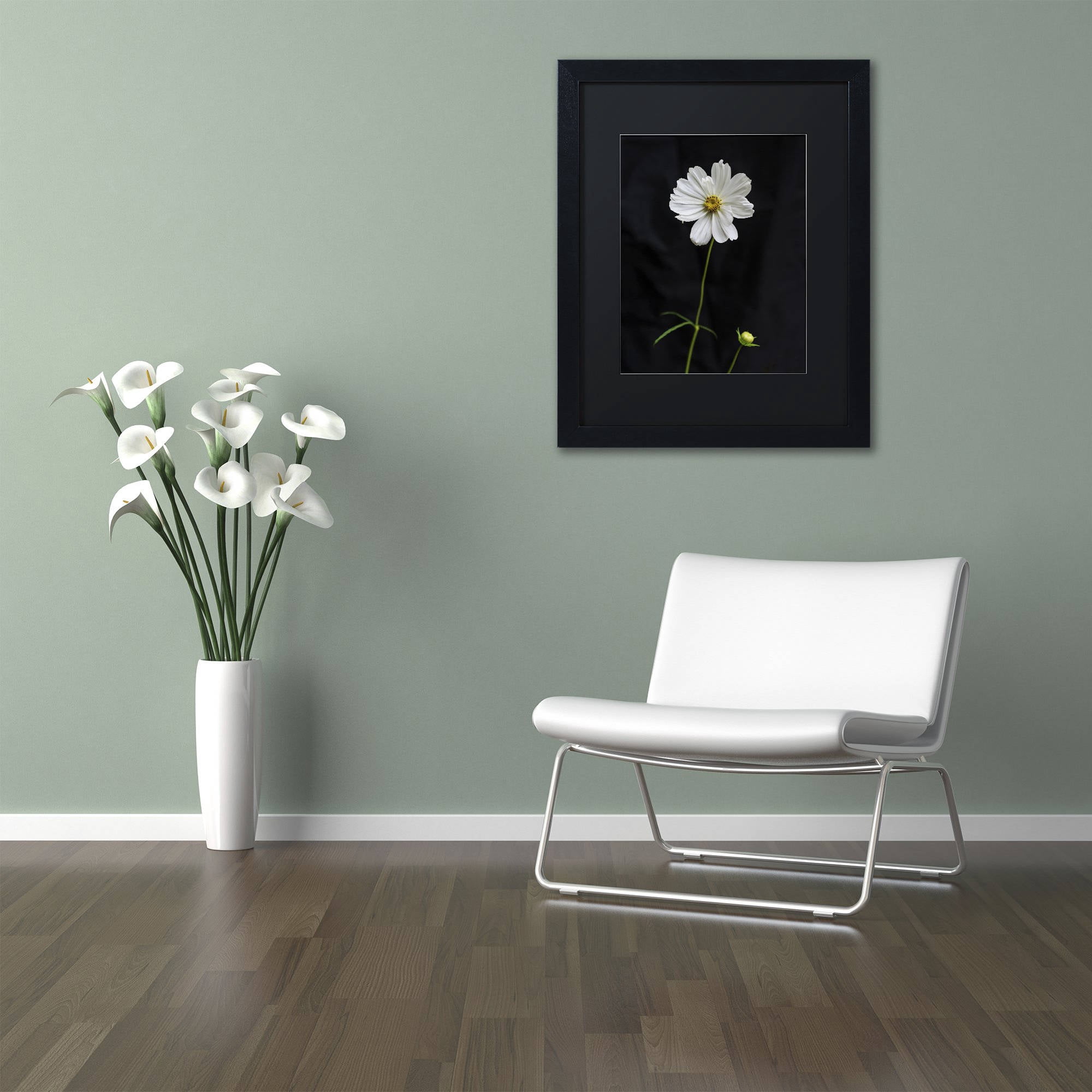 Trademark Fine Art "White Cosmos on Black" Canvas Art by Kurt Shaffer, Black Matte, Black Frame