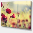 thumbnail image 2 of Poppy Flowers on Green Background - Floral Canvas Art Print, 2 of 3