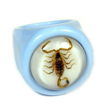 ED SPELDY EAST R0032-7 Ring Gold Scorpion Blue with White 