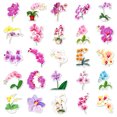 thumbnail image 5 of Pegatinas de vinilo con forma de flor Phalaenopsis, resistentes al agua (50 unidades), 5 of 5