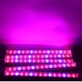 thumbnail image 3 of Luz de relleno de plantas LED t5 tira de luz de crecimiento de plantas plantas suculentas flores lámpara vegetal 6W + cable de alimentación, 3 of 5
