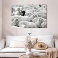 thumbnail image 2 of Elephant Stock Distinct Black Sheep Wall Art - Horizontal Canvas Wall Art - Living Room Wall Decor - Animal Canvas - Gray And Black Decor - 48" x 32", 2 of 8